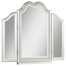 Coaster Furniture Evangeline 223398 Tri-Fold Vanity Mirror - Silver Oak IMAGE 1