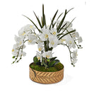 D&W Silks White Orchids & Areca Grass in Medium Salve Planter - 231020