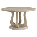  Coaster Furniture Trofello 123120-S5 5 pc Dining Set IMAGE 2