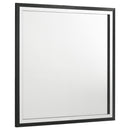  Coaster Furniture Lucia 224991Q-S4 6-piece Queen Panel Bedroom Set IMAGE 5