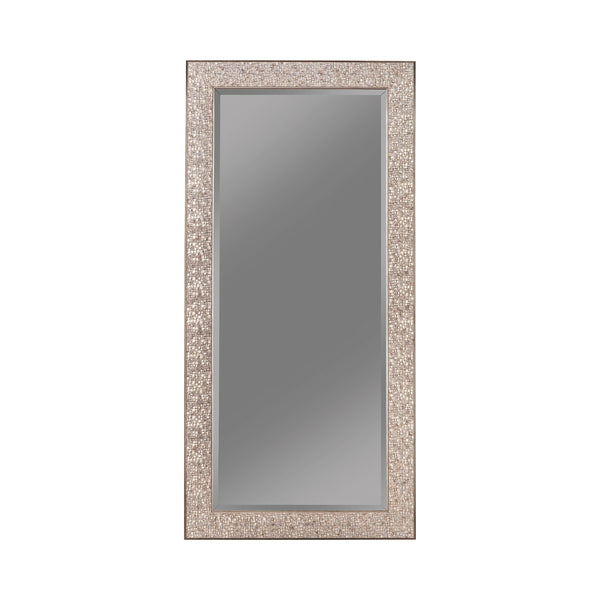  Coaster Furniture Rollins 901997 32 x 66 Inch Rectangular Floor Mirror - Silver IMAGE 1