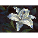 Streamline Art Home Decor Wall Art A111607 IMAGE 1