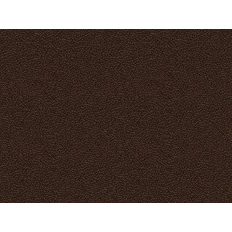 Best Home Furnishings Plusher Coll Power Reclining Leather Loveseat L565CP4 72636-L IMAGE 3