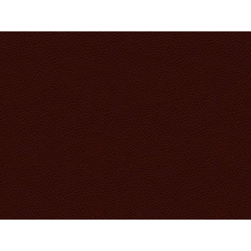 Best Home Furnishings Plusher Reclining Leather Sofa S565CA4 72638L IMAGE 2