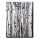 Streamline Art Home Decor Wall Art AWG30813 IMAGE 1