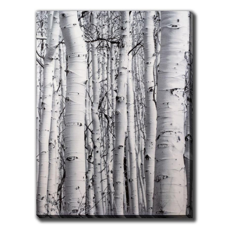 Streamline Art Home Decor Wall Art AWG30813 IMAGE 1