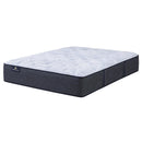  Serta Blue Lagoon Nights Plush Mattress (Full) IMAGE 1