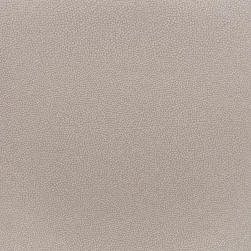 Zuo Desi 109731 Dining Chair - Beige & Gold IMAGE 6