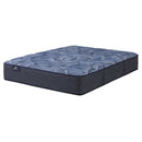  Serta Cobalt Calm Plush Mattress (Queen) IMAGE 1