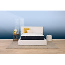  Serta Adoring Night Plush Tight Top Mattress Set (Full) IMAGE 4