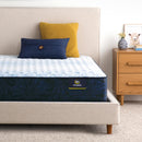  Serta Classic Alden 11.5" Medium Mattress (Queen) IMAGE 3