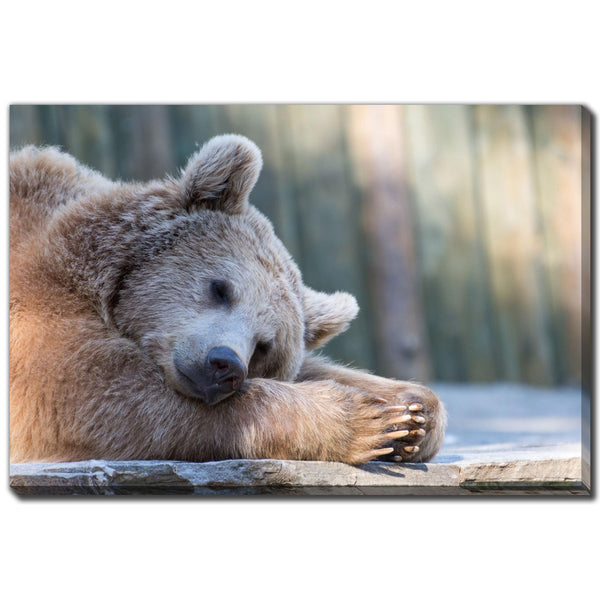 Streamline Art D3561-3860 Sleeping Brown Bear IMAGE 1