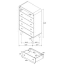  Coaster Furniture Robyn 225095 5-drawer Bedroom Chest - Light Ash IMAGE 12
