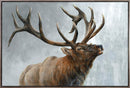AFE0037 RISING BULL ELK ART 30X45