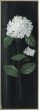 White Country Botanical I & II SKU AFF46560 & AFF46561