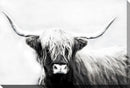 D1204-3045 HIGHLAND LONGHORN 30X45