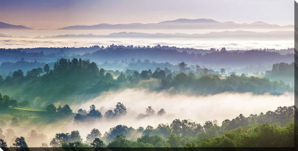 D1221-3060 Streamline Art Panorama Landscape (BLACK FRAME) 30x60